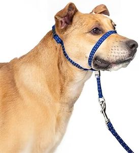 PupSensei Headcollar for Dogs, Extra Soft Padded, Reflective, No Pull Dog Collar, Gentle Leader for Dogs with Durable Nylon Leash, Padded Handle - Navy Blue (Medium)