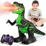 Remote Control Dinosaur Toy for Boy