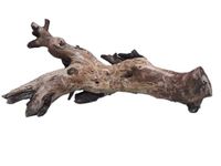 Driftwood for Aquarium Original Teak 40 Cm Long Driftwood (Random Shape)