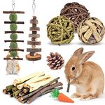 ERKOON Rabbits Chew Toys, Rabbit Treats 8 Kinds of Hamster Chew Toys, Rabbit Chew Treat Apple Sticks Molar Toys Teeth Care for Rabbits Hamster Guinea Pigs Chinchillas Gerbils