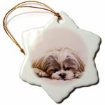 3dRose Shih Tzu. Sleeping. Best Friend. - Snowflake Ornament, Porcelain, 3-Inch (ORN_220715_1)