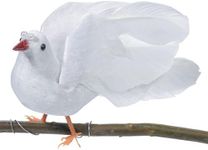 Darice, 6 inch White Dove, 6 "