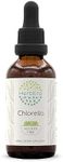 Chlorella B60 Alcohol-Free Herbal Extract Tincture, Super-Concentrated Organic Chlorella (Chlorella vulgaris) Dried Entire Plant (2 fl oz)