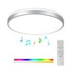 Horevo 24W LED Ceiling Light, Minimalist Silver Edge Ceiling Light with Remote Control and Bluetooth Speaker, 2000 Lumens Ø30cm Dimmable Ceiling Lights for Lounge, Living Room, Kids Room, Bedroom