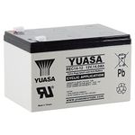 Yuasa REC14-12 12V Lead Acid Cyclic Battery, Maintenance Free Deep Cycle Power for Mobility Scooters, Golf Carts and Other Cyclical Applications (Pack of 1)