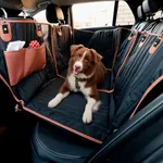Owleys Hard Bottom Car Seat Cover f