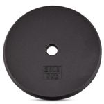 Yes4All 1-inch Cast Iron Weight Plates for Dumbbells – Standard Weight Disc Plates (20 lbs, Single)