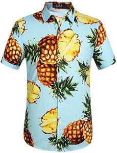 SSLR Men's Pineapple Button Down Short Sleeve Casual Hawaiian Shirt (Large Blue)