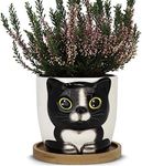 Window Garden Cat Planter - Large K