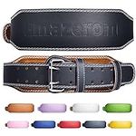 Leather Weight Lifting Belt for Men