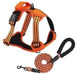 Dog Harness Medium No Pull for Large Dogs and Lead set Adjustable Reflective Pet Vest with Front clip Handle Padded dog harness best for outdoor Training and walking Orange L