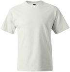 Hanes Men's Short Sleeve Beefy T (P