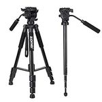 Q310 Professional Aluminum Alloy Camera Video Tr 4-Section Extendable Tr Monopod with Fluid Damping Head Flip Buckle Design for DSLR ILDC Cameras Max. Load Capacity 10kg AINN