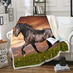 3D Horse Print Throws Blanket Comfort Warmth Soft Cozy Blanket Fleece Blanket Couch Blanket Reversible Bed Throw TV Blanket Comfort Caring Gift ?Throw 60"x 80"?