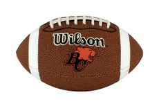 Wilson WTF1601DCBC CFL Team Mini-BC Football