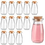 BELLE VOUS Small Glass Jars with Lids (12 Pack) - 100ml Mini Storage Bottles for Wedding Favours/Potion Bottles - Small Glass Bottles with Cork Lids