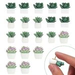 HASTHIP® 20pcs Decorative Push Pins Cute Succulent Plants Decorative Push Pins Colorful Thumbtacks for Home Decor Push Pins Assorted Resin Succulent Pushpins for Photo Wall, Cork Board, Bulletin Board