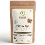 Rooted Actives Turkey Tail mushroom Extract Powder (60 g) | Gut Health, Liver, Immunity. USDA Organic, 35% Beta Glucans