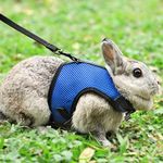 Pettom Rabbits Harness with Elastic Leash for Small Animal Adjustable Soft Harness and Lead Set for Bunny Cat Little Pet Walking (S(Chest:10. 8-12. 9 In), Blue)