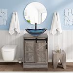 Puluomis 24 inch Bathroom Vanity, B