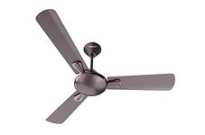 Havells 1200mm Festiva ES Ceiling Fan | Premium Finish, Decorative Fan, Elegant Looks, High Air Delivery, Energy Saving, 100% Pure Copper Motor | 2 Year Warranty | (Pack of 1, Espresso Brown)