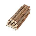 BSIRI Pencil Wood Favors of Graphite Wooden Tree Rustic Twig Pencils Unique Birch of 12 Camping Lumberjack Decorations Party Supplies Novelty Gifts as a Natural Pencil Gifts for Kids in Classroom