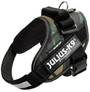 Julius-K9,