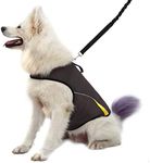 WINBATE Adjustable Dog Anxiety Jacket-Keep Calming Vest Thunder Shirt with D-Ring and Training Handle for Large Dogs，Gary