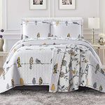 Royal Hotel Bedding Ayat Birds Oversized Coverlet Set, Luxury Printed Design Quilt, Bedspread Set - Filled Quilts - Fits Pillow top Mattresses - 3PC Set - King/California King Size