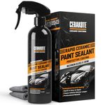 Pro Auto Paint Sealants