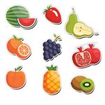 Fridge Magnet Refrigerator Stylish Set of 9 Fruit Theme Designs for Home Decor | Fridge Magnet | Kitchen and Office | Size 3x3 Inch, Multicolor