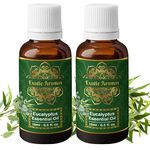 Exotic Aromas Eucalyptus Essential Oil (15Ml + 15Ml) Pack of 2