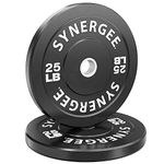 Training Bumper Plates