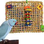 Super Bird Creations 14 by 13-Inch Foraging Pouch Bird Toy, Large