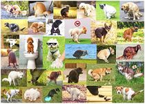 Pooping Dog Puzzle - 1000 Piece Dog Puzzles for Adults - Funny Gift Dog Poop Gag Jigsaw Puzzles for Dog Lovers & Puppy Owners Prank (Pooping Dogs 2 Puzzle)