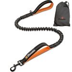 Sweetie Bungee Dog Lead - Shock Absorbing Leash that Softens Pulls & Stops – Neoprene Padded Loop & Traffic Handles for Extra Comfort - Reflective for Safer Night Walking