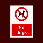 No Dogs Plastic Sign with 4 Pre-Drilled Holes (CA39) - Warning, Farm, Dogs, Agriculture, Cattle, Sheep, Bull