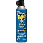 Raid Wasp and Hornet Killer, Wasp Killer Spray for Home Use Kills Bugs on Contact, Including Paper Wasps, Yellow Jackets, Mud Daubers and More, 400 g (Pack of 1)