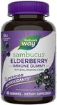 Nature’s Way Sambucus Elderberry Im