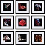 HEART ART 12x12 Black Picture Frame Set of 9, Display Pictures 8x8 with Mat or 12 x 12 without Mat, Multi Collage Gallery Square Photo Frames for Wall…