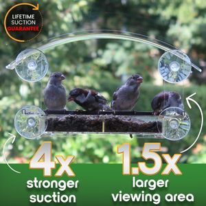 HOMEBIRD Window Bird Feeder – Clear Acrylic, Easy Mount