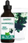 Liquid Chlorophyll Drops Mint 15X C