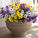 Rowfad Artificial Fake Pansy Flower