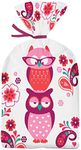 Wilton Valentine Treat Bag, Pack of 20