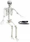 Wocst 5.4Ft Halloween Life Size Human Skeletons with Dog Skeleton,Poseable Life Size Skeletons Plastic Human Bones with Movable Joints for Halloween Decoration, 2023703-165GJ-DOG