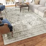 Vintage Area Rug 5x7 Carpet-Rugs for Living Room Bedroom-Machine Washable Rugs for Bedroom Dining Room Living Room Rug Traditional Retro Oriental Distressed Aesthetic