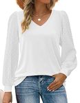 Zeagoo Women's Blouses Dressy Casual V Neck Top Swiss Dot Balloon Long Sleeve Shirts, White, L