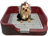 PS KOREA] Indoor Dog Potty Tray - w