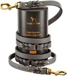 NOAH & PAW Leather Dog Leash, Premi