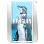 Gift Republic GR100026 Adopt A Penguin Gift Box, 2.5 cm*22.5 cm*16.0 cm